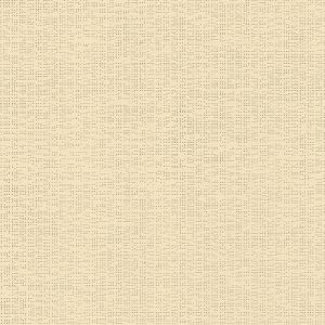 92-2175-Champagne